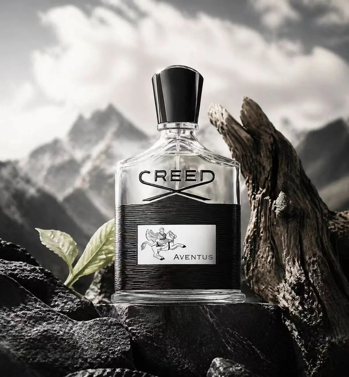 Creed Aventus: Audacious & Timeless Men's Fragrance